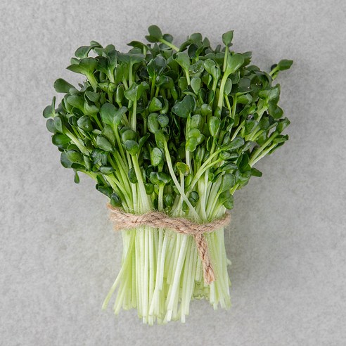 무순, 500g, 1개