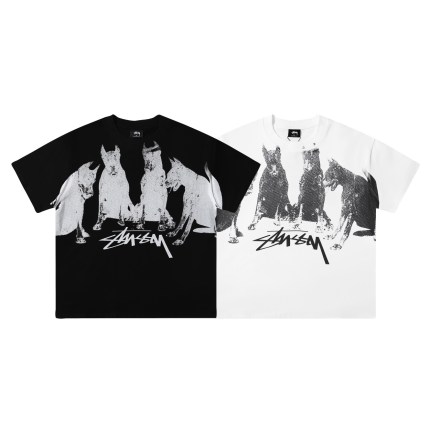 image1 image1