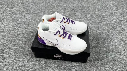 image1 image1