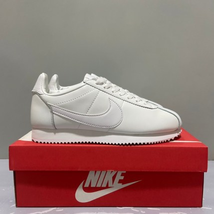 image1 image1