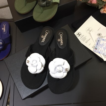 image1 image1