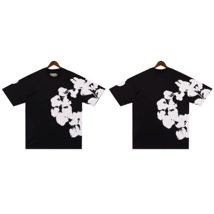 image1 image1