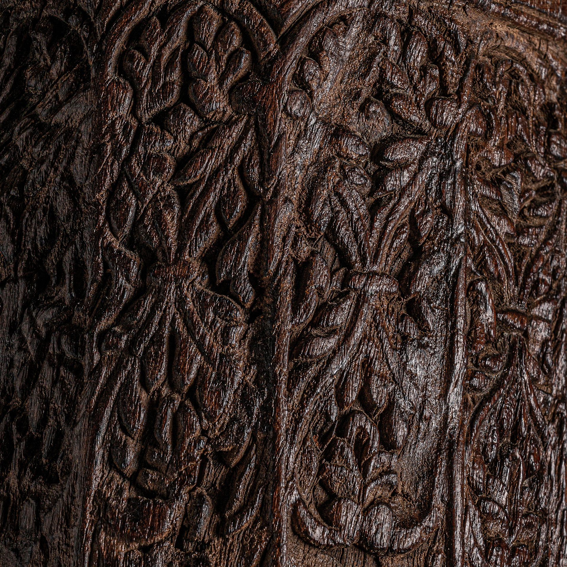 COLUMNA DAPH