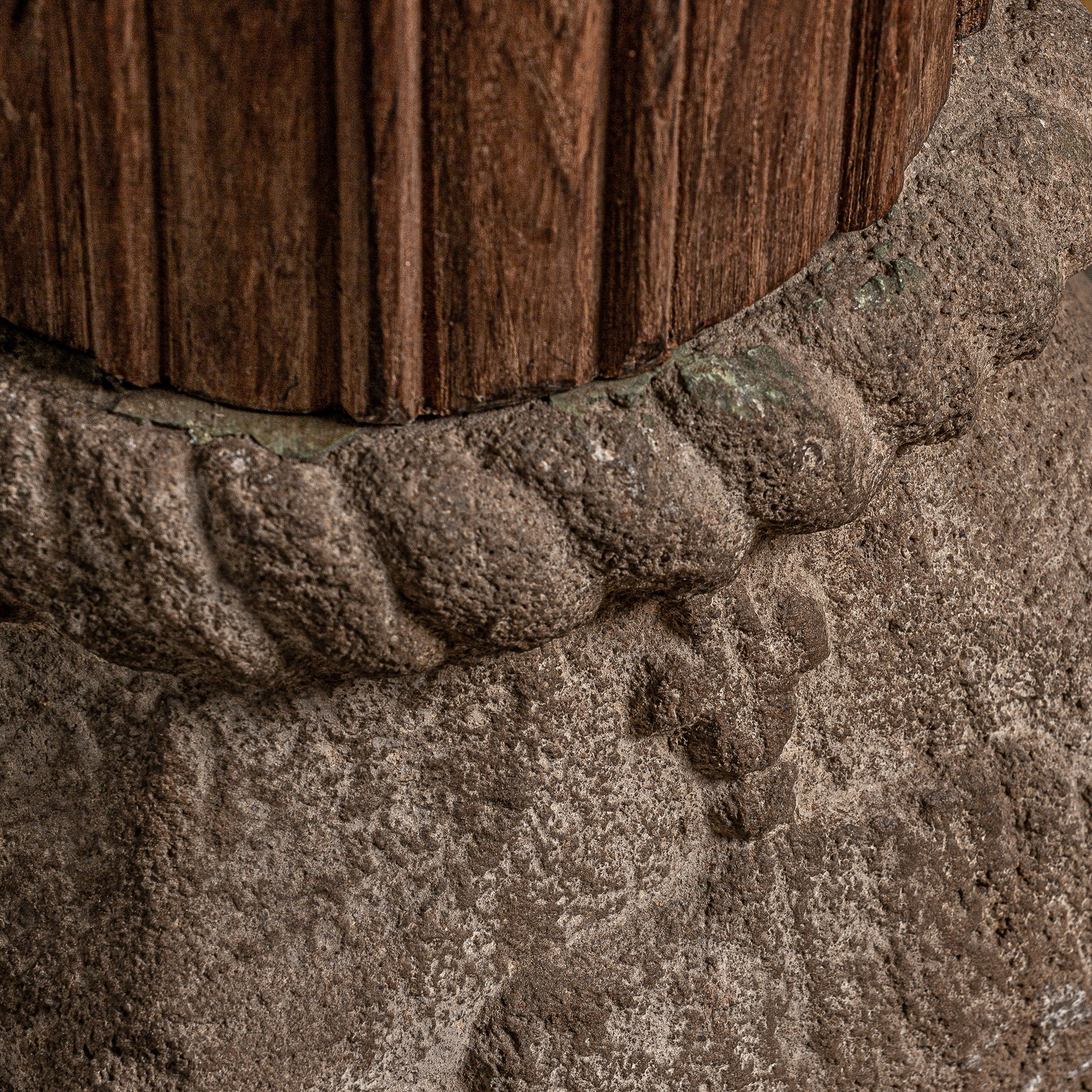 COLUMNA DAPH