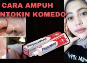 Menghilangkan Komedo di Hidung: Panduan Lengkap dengan Metode Teruji dan Bahan Aktif Efektif Menghilangkan Komedo di Hidung: Panduan Lengkap dengan Metode Teruji dan Bahan Aktif Efektif