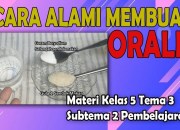 Tentu, mari kita bahas cara membuat larutan oralit untuk orang dewasa secara detail dan spesifik. Tentu, mari kita bahas cara membuat larutan oralit untuk orang dewasa secara detail dan spesifik.