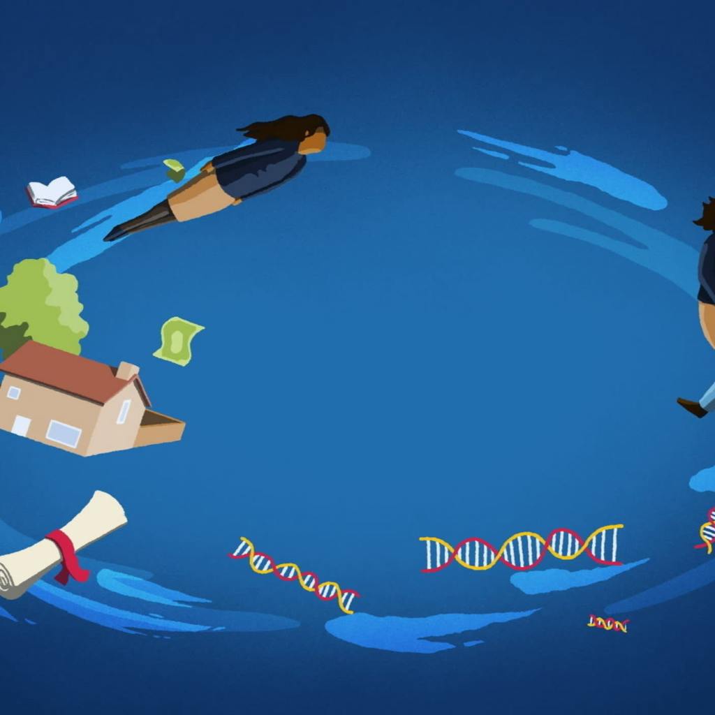 How our social structures shape our DNA — and vice versa How our social structures shape our DNA — and vice versa