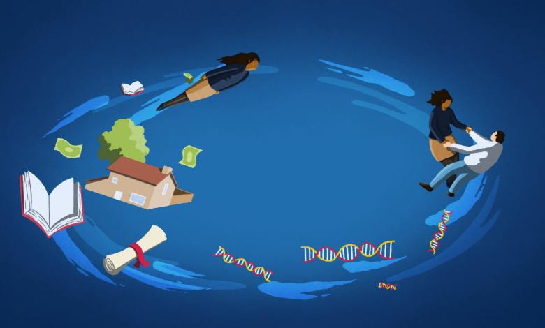 How our social structures shape our DNA — and vice versa How our social structures shape our DNA — and vice versa
