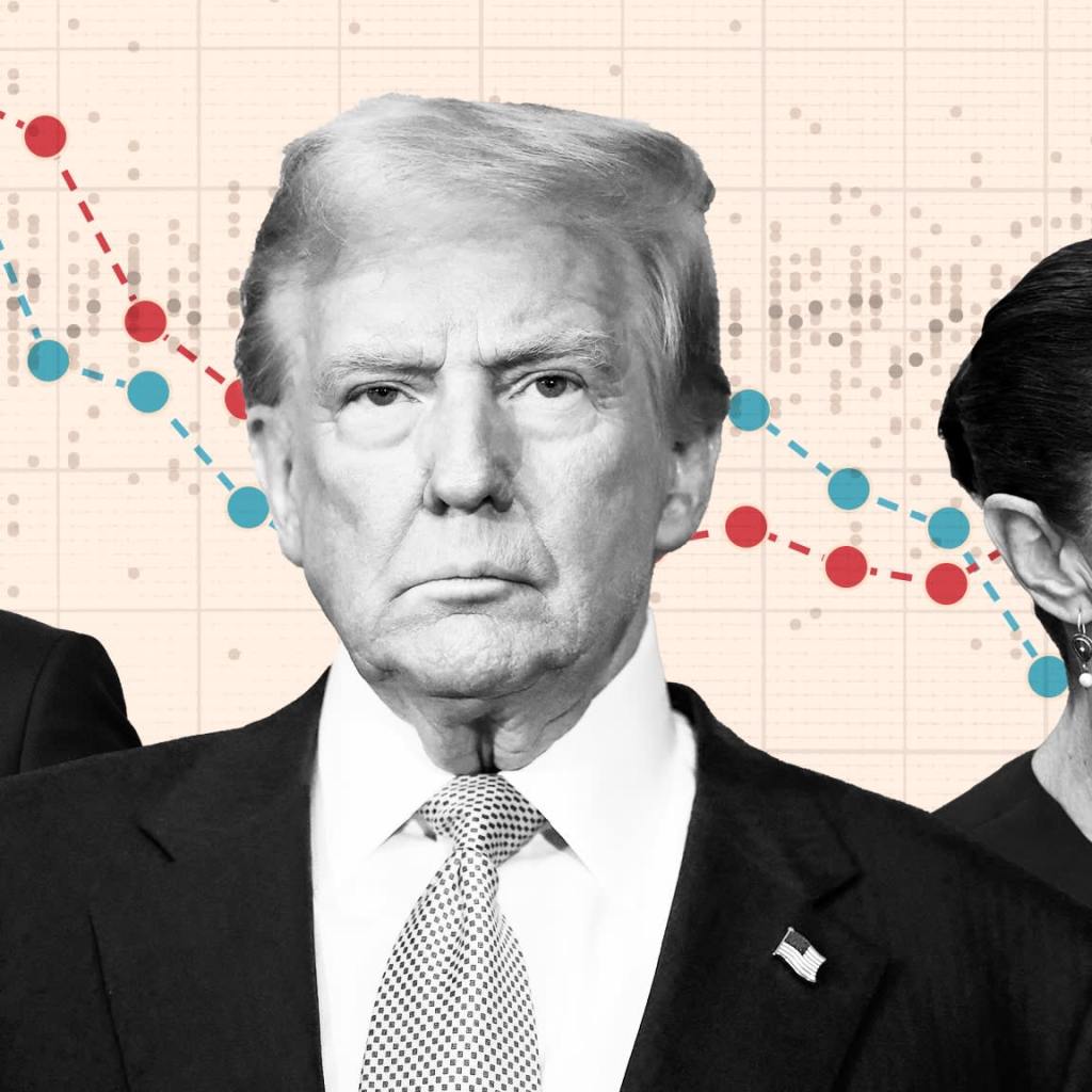 What the ‘year of democracy’ taught us, in 6 charts What the ‘year of democracy’ taught us, in 6 charts