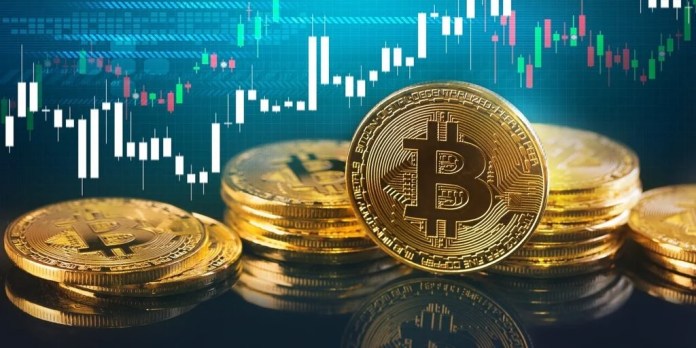 Professor Coin: Do Managed Crypto Funds Outperform the Market? Professor Coin: Do Managed Crypto Funds Outperform the Market?