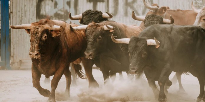 Crypto, Bitcoin Mining Stocks Spike Amid Historic Markets Rebound Crypto, Bitcoin Mining Stocks Spike Amid Historic Markets Rebound