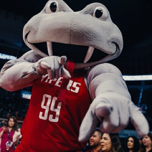 RGV VIPER VIP Night RGV VIPER VIP Night