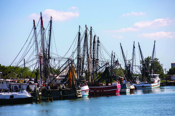 Texas Gold Shrimp Boat Tour