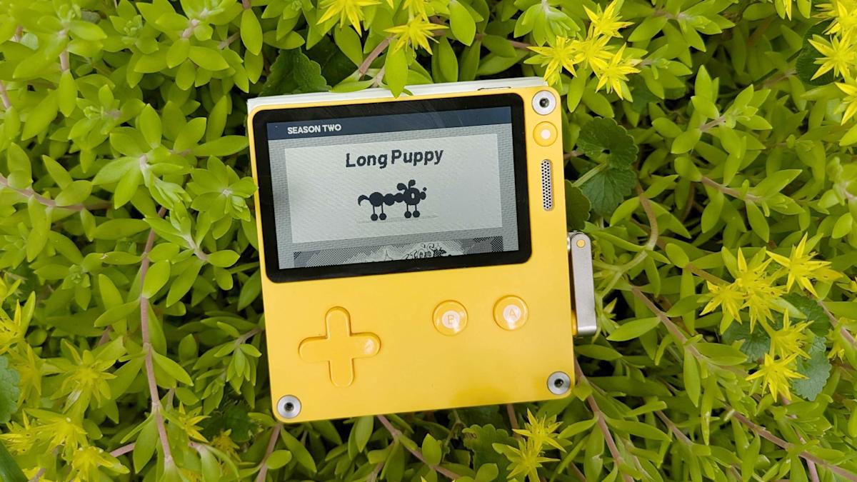 Long Puppy and Otto’s Galactic Groove!! Long Puppy and Otto’s Galactic Groove!!