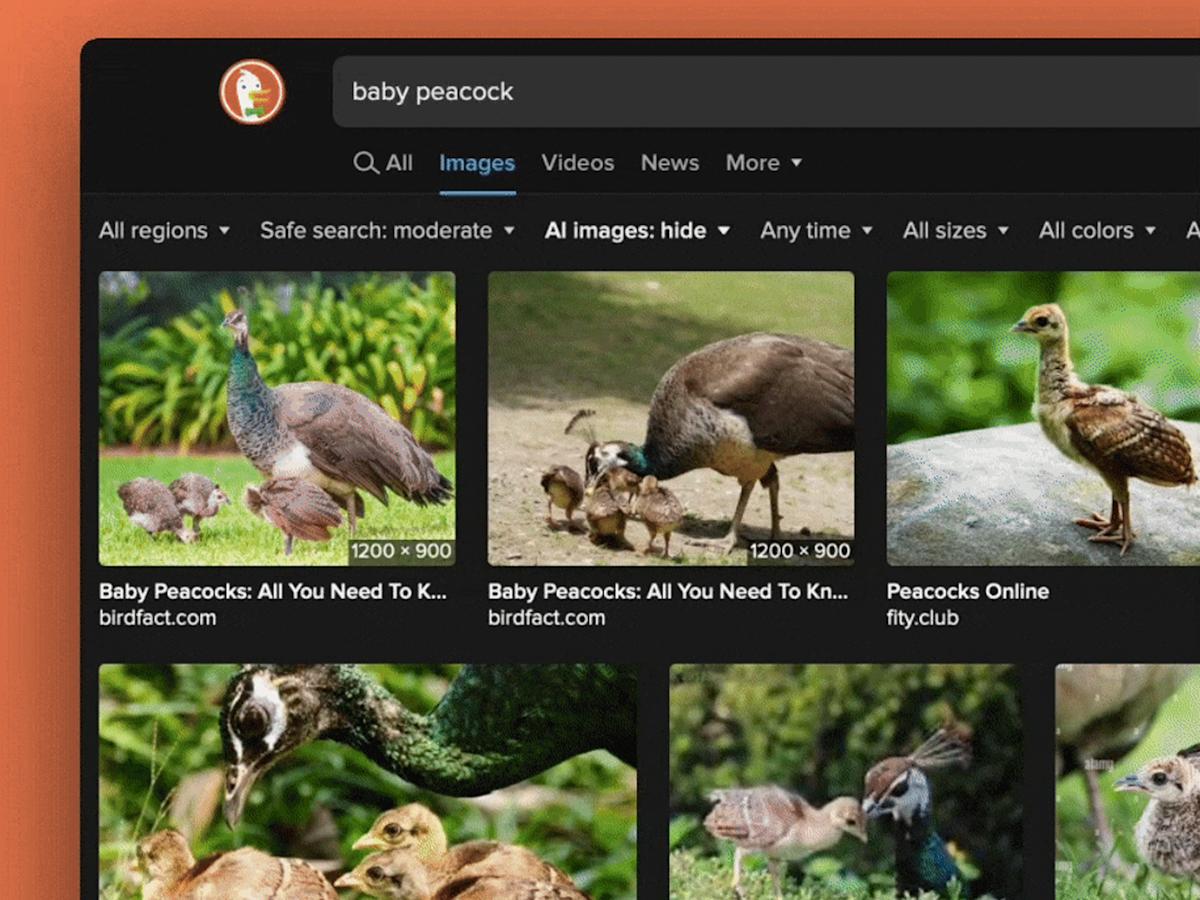 DuckDuckGo now allows you to filter out AI images in search results DuckDuckGo now allows you to filter out AI images in search results