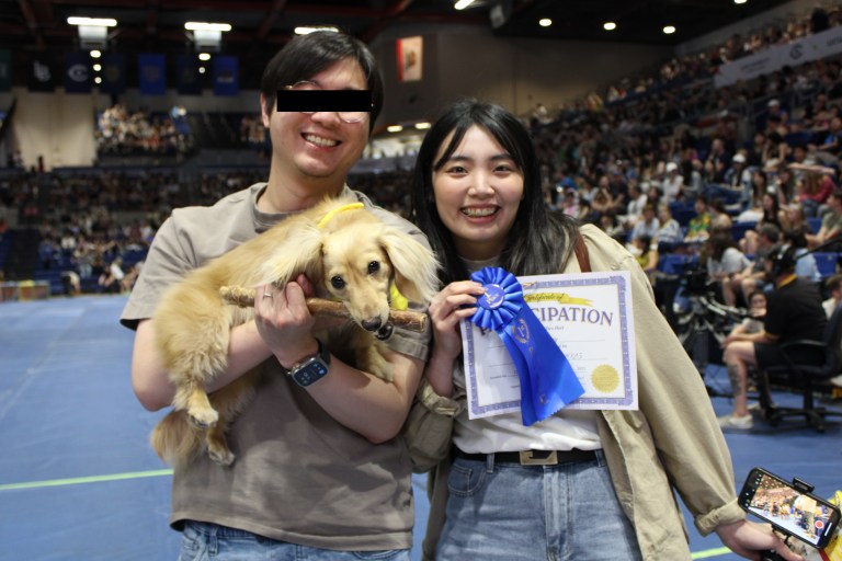灣區四月玩樂|UC Davis Picnic Day Doxie Derby 臘腸狗賽跑 灣區四月玩樂|UC Davis Picnic Day Doxie Derby 臘腸狗賽跑