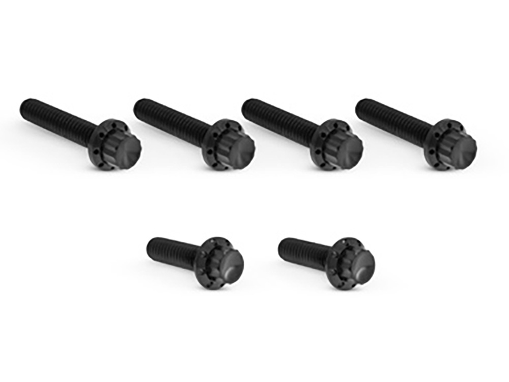 Arlen Ness Titanium 12-Point Transmission Side Cover Bolt Kit – Black. Fits Touring 2007-2023, Softail 2007-2024 & Dyna 2006-2017