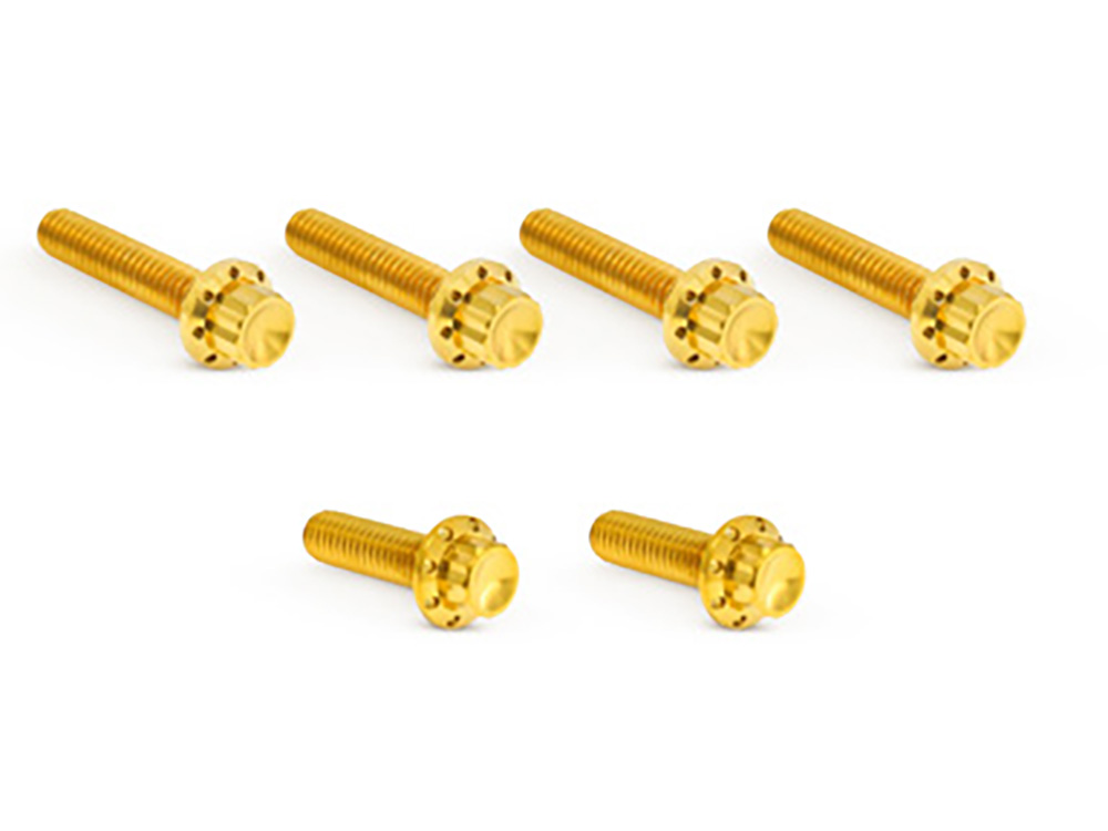 Arlen Ness Titanium 12-Point Transmission Side Cover Bolt Kit – Gold. Fits Touring 2007-2023, Softail 2007-2024 & Dyna 2006-2017
