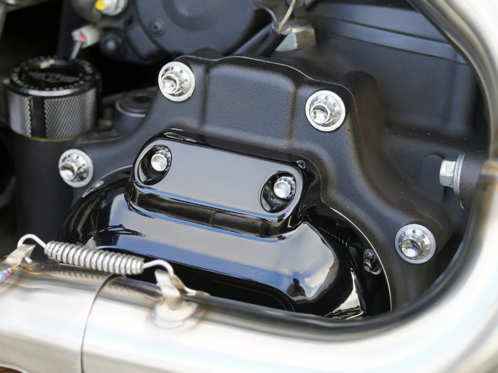 Arlen Ness Titanium 12-Point Transmission Side Cover Bolt Kit – Polished. Fits Touring 2024up & Softail 2025up