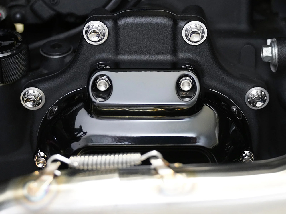 Arlen Ness Titanium 12-Point Transmission Side Cover Bolt Kit – Polished. Fits Touring 2024up & Softail 2025up