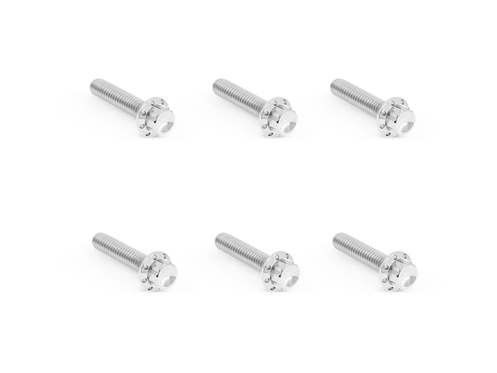 Arlen Ness Titanium 12-Point Transmission Side Cover Bolt Kit – Polished. Fits Touring 2024up & Softail 2025up