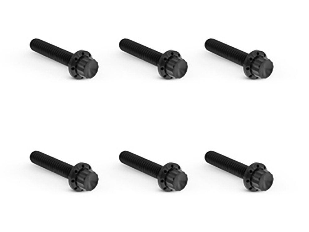 Arlen Ness Titanium 12-Point Transmission Side Cover Bolt Kit – Black. Fits Touring 2024up & Softail 2025up