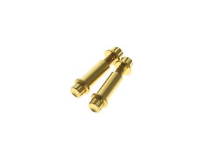 Arlen Ness Titanium 12-Point Footpeg Mounting Hardware – Gold. Fits H-D Male Mount Footpegs Arlen Ness Titanium 12-Point Footpeg Mounting Hardware – Gold. Fits H-D Male Mount Footpegs
