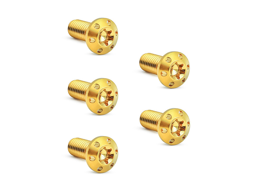 Arlen Ness Titanium Front Disc Rotor Bolts – Gold. Fits H-D Big Twin 1984up & Sportster 1984-2021