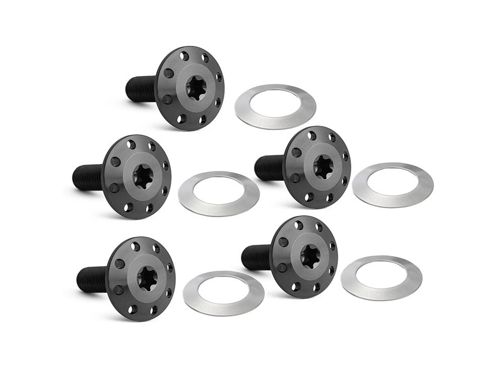 Arlen Ness Titanium Holeshot Front Brake Rotor Bolts – Black. Fits Street Glide & Road Glide 2024up with Spoke Mounted Disc, Sportster S 2021up & Pan America 2021up with Cast Mag Wheel