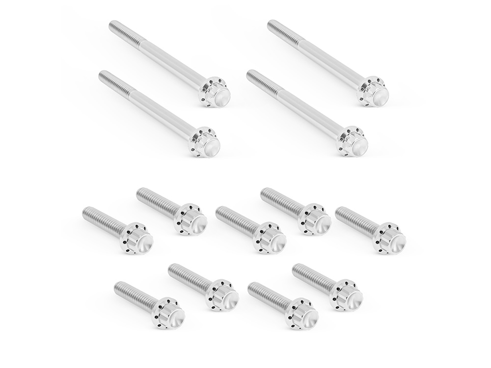 Arlen Ness Titanium 12-Point Primary Cover Bolt Kit – Polished. Fits Softail 2007-2017 Non-240 Tyre Models & Touring 2017up