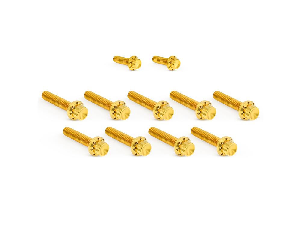 Cam Cvr Bolts; Gold FLH%2717-24 &
