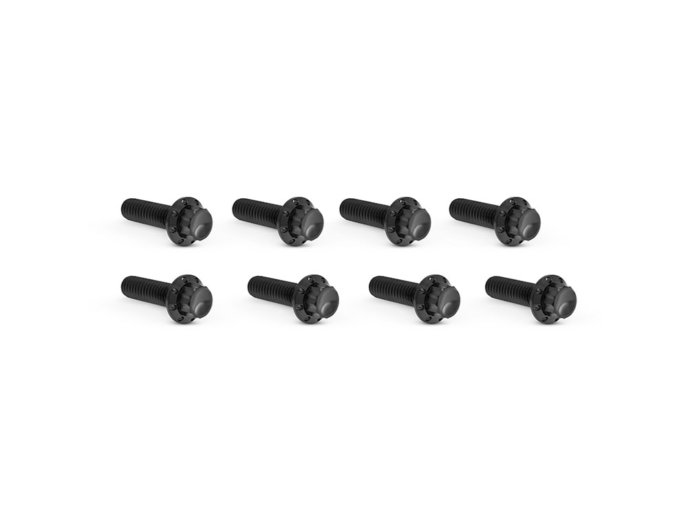 Arlen Ness Titanium 12-Point Tappet Cover Bolt Kit – Black. Fits Softail 2000up, Touring 1999up & Dyna 1999-2017