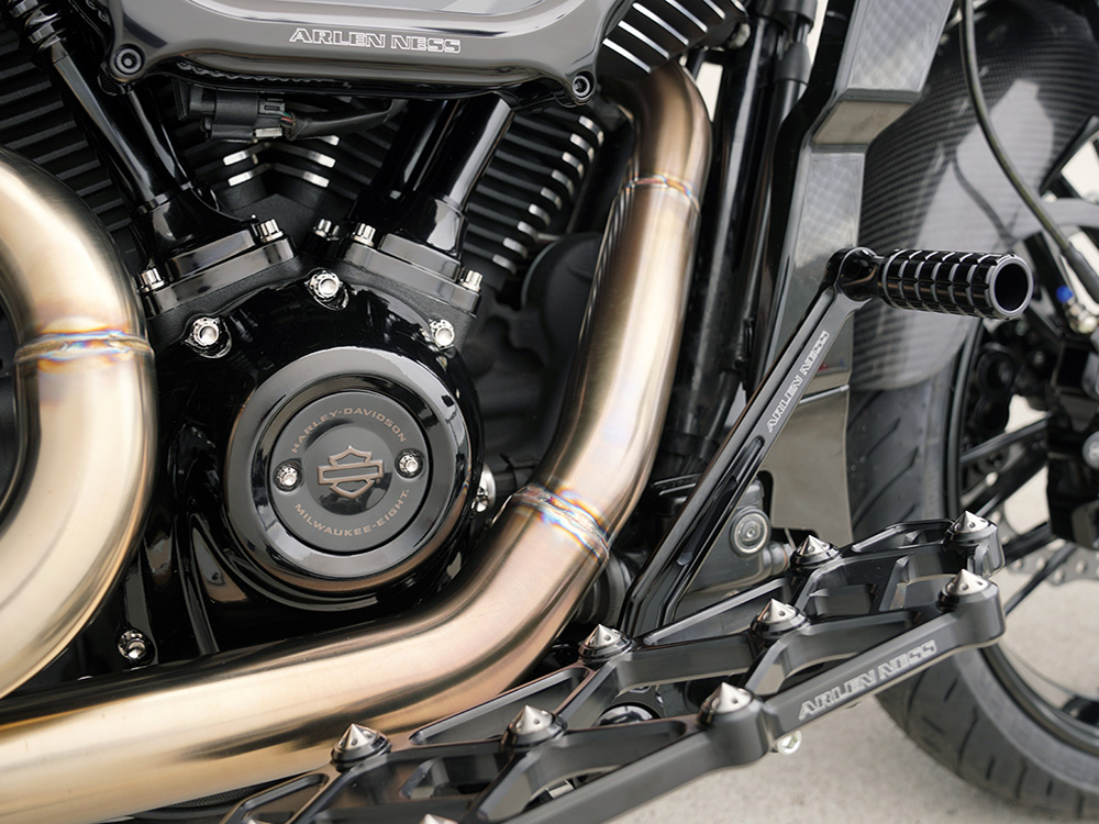 Arlen Ness Titanium 12-Point Cam Cover Bolt Kit – Polished. Fits Most Touring 2017-2024 & Softail 2018-2024