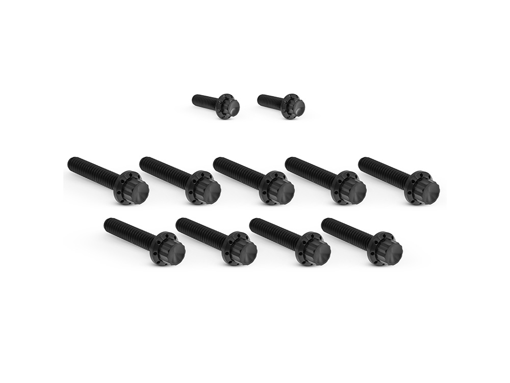 Arlen Ness Titanium 12-Point Cam Cover Bolt Kit – Black. Fits Most Touring 2017-2024 & Softail 2018-2024