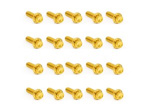 Arlen Ness Titanium 12-Point Rocker Cover Bolt Kit – Gold. Fits Milwaukee-Eight 2017up Arlen Ness Titanium 12-Point Rocker Cover Bolt Kit – Gold. Fits Milwaukee-Eight 2017up