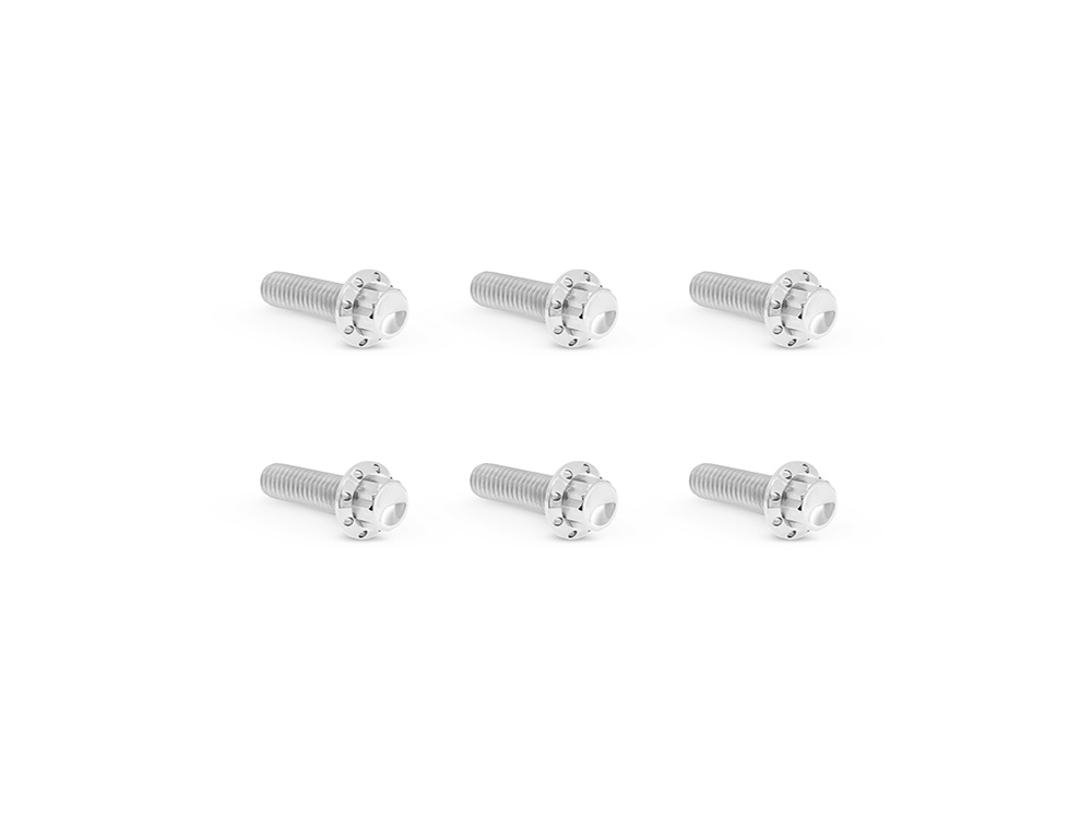 Arlen Ness Titanium 12-Point Transmission Top Cover Bolt Kit – Polished. Fits Softail 2007-2024, Most Touring 2007-2024 & Dyna 2006-2017