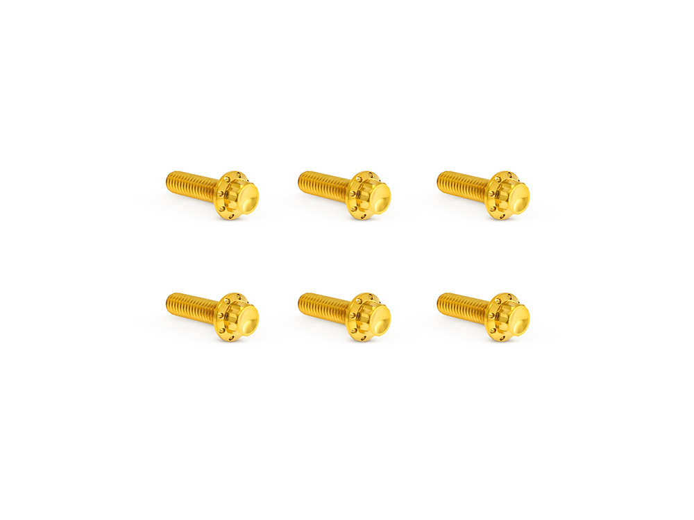 Arlen Ness Titanium 12-Point Transmission Top Cover Bolt Kit – Gold. Fits Softail 2007-2024, Most Touring 2007-2024 & Dyna 2006-2017