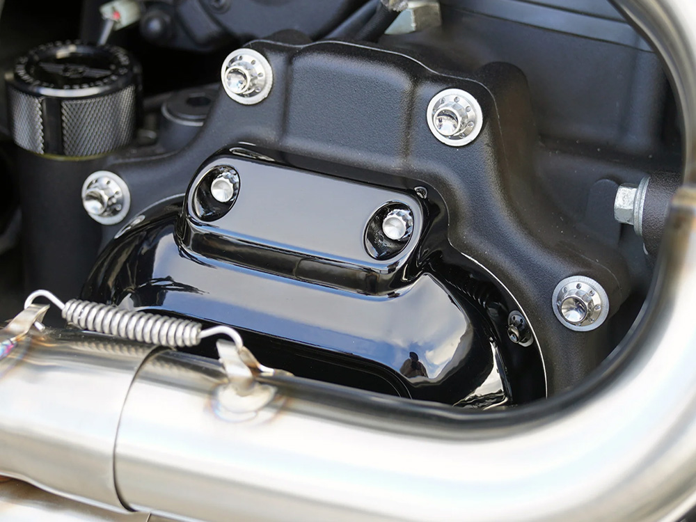 Arlen Ness Titanium 12-Point Transmission Side Cover Bolt Kit – Polished. Fits Touring 2017up with Cable Clutch & Softail 2018up