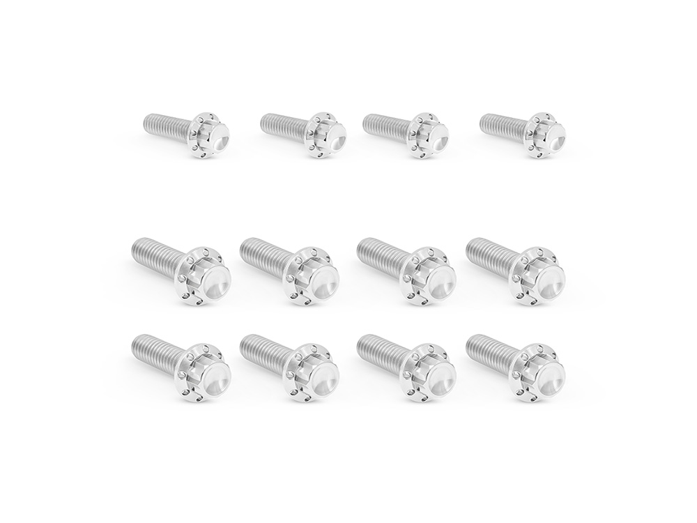 Arlen Ness Titanium 12-Point Transmission Side Cover Bolt Kit – Polished. Fits Touring 2017up with Cable Clutch & Softail 2018up