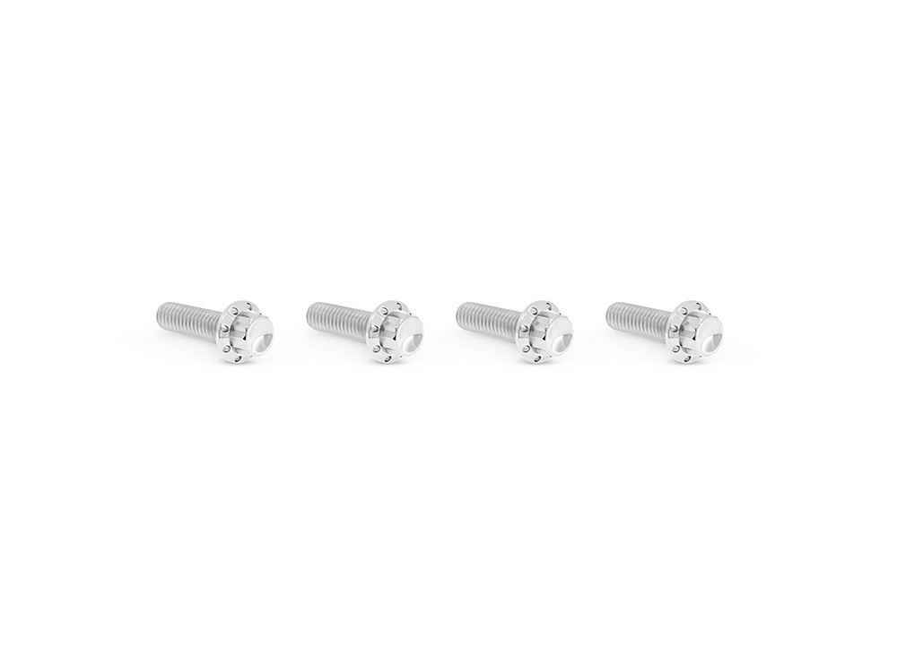 Arlen Ness Titanium 12-Point Transmission Top Cover Bolt Kit or Clutch & Brake Perch Bolt Kit – Polished. Fits CVO Touring 2023up, Street Glide & Road Glide 2024up, Touring 2025up & Softail 2025up