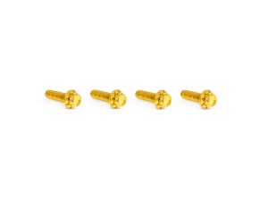 Arlen Ness Titanium 12-Point Transmission Top Cover Bolt Kit or Clutch & Brake Perch Bolt Kit – Gold. Fits CVO Touring 2023up, Street Glide & Road Glide 2024up, Touring 2025up & Softail 2025up Arlen Ness Titanium 12-Point Transmission Top Cover Bolt Kit or Clutch & Brake Perch Bolt Kit – Gold. Fits CVO Touring 2023up, Street Glide & Road Glide 2024up, Touring 2025up & Softail 2025up
