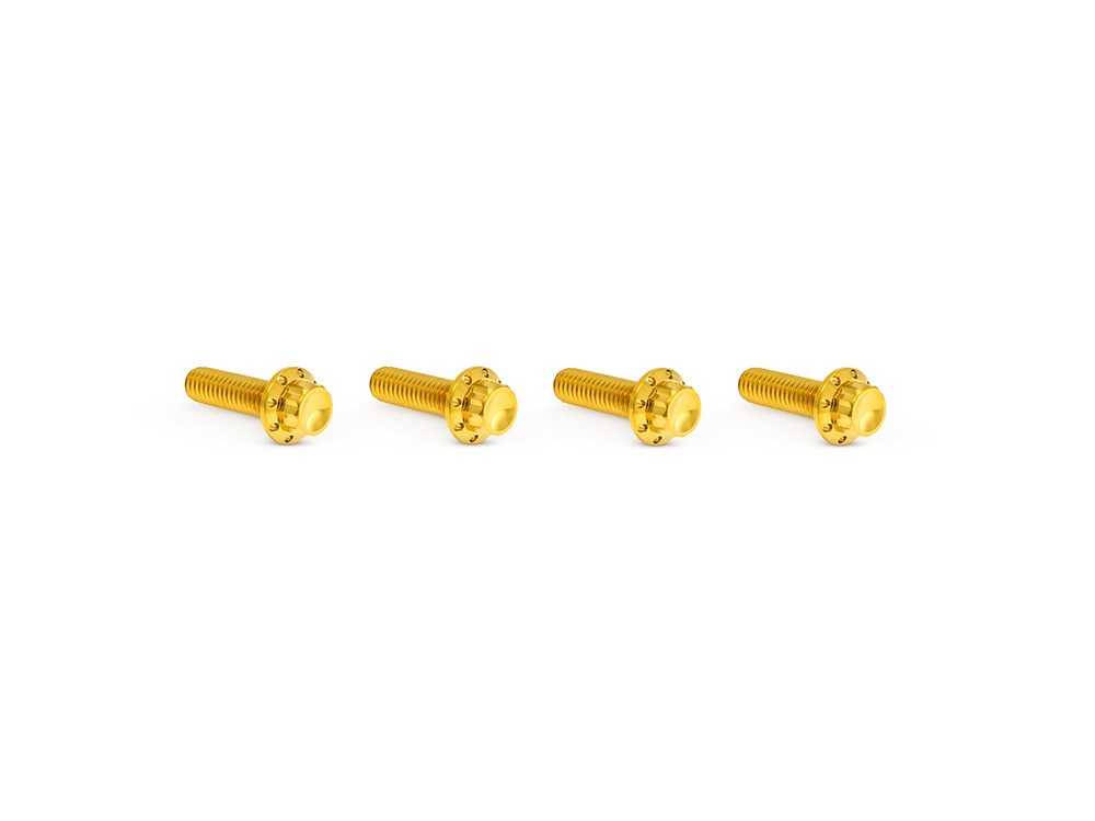 Arlen Ness Titanium 12-Point Transmission Top Cover Bolt Kit or Clutch & Brake Perch Bolt Kit – Gold. Fits CVO Touring 2023up, Street Glide & Road Glide 2024up, Touring 2025up & Softail 2025up
