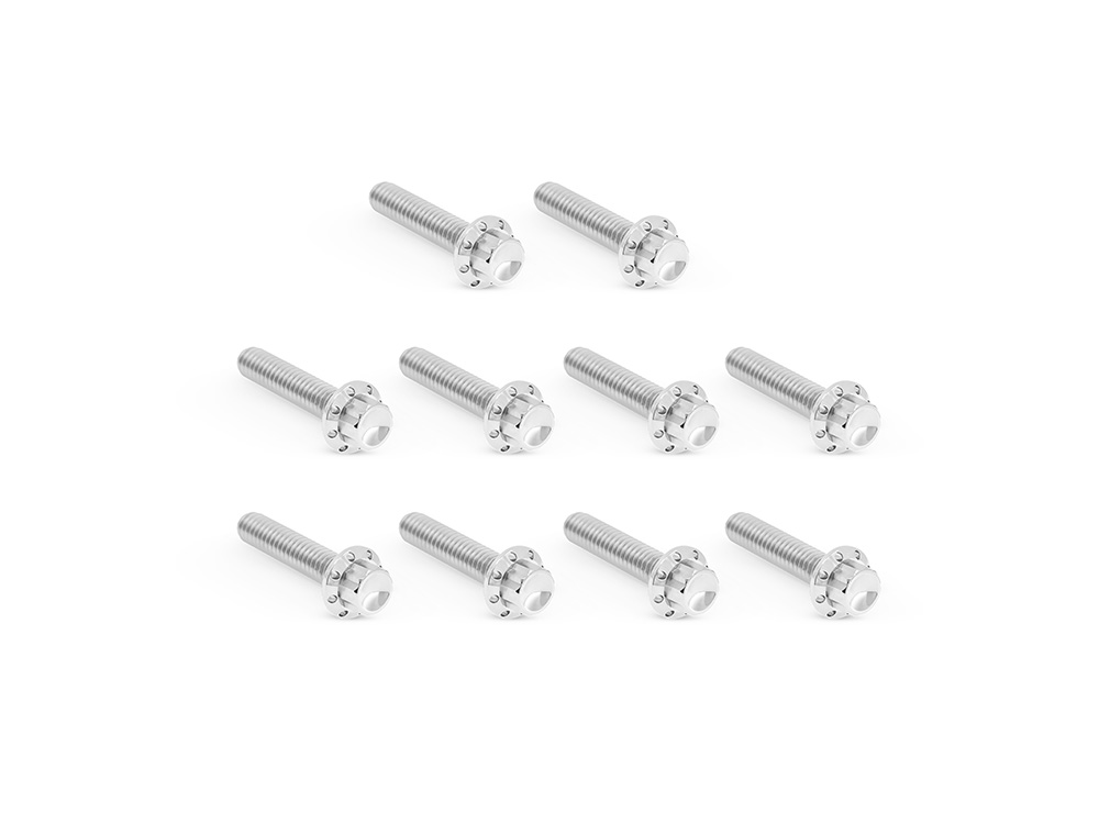 Cam Cvr Bolts; TC%2799-17 Polished