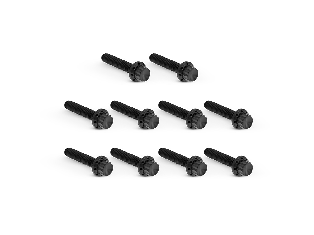 Arlen Ness Titanium 12-Point Cam Cover Bolt Kit – Black. Fits Twin Cam 1999-2017