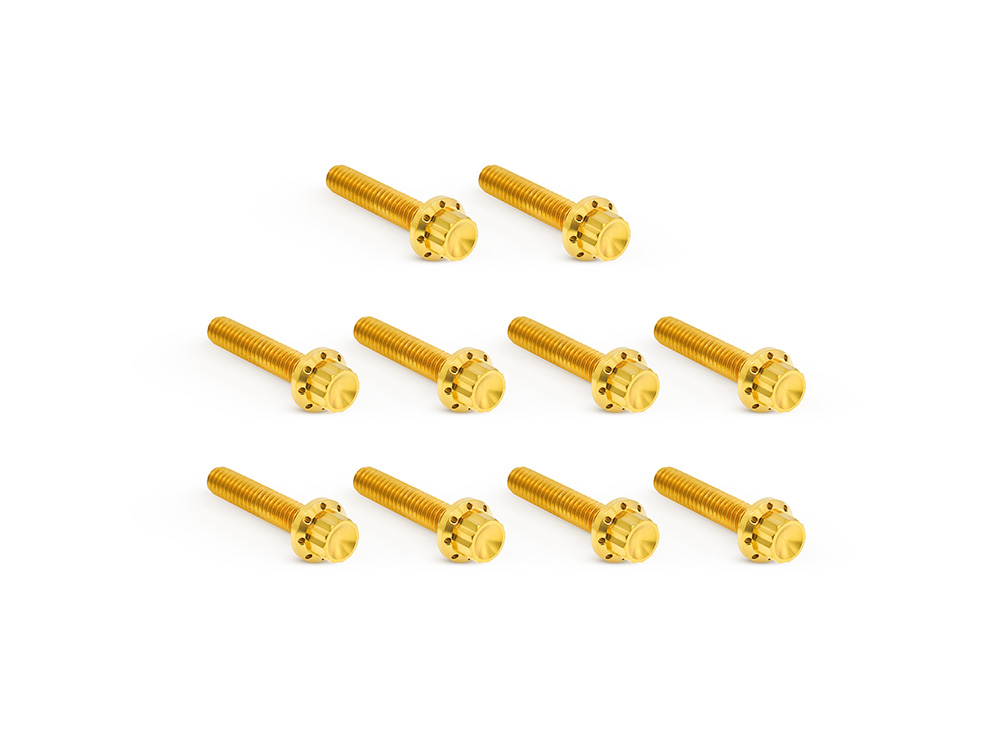 Arlen Ness Titanium 12-Point Cam Cover Bolt Kit – Gold. Fits Twin Cam 1999-2017