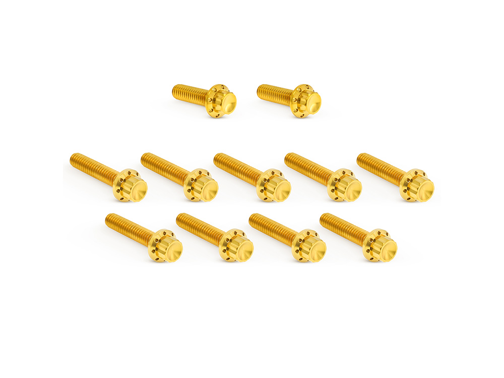 Arlen Ness Titanium 12-Point Cam Cover Bolt Kit – Gold. Fits CVO Touring 2023up, Street Glide & Road Glide 2024up, Touring 2025up & Softail 2025up