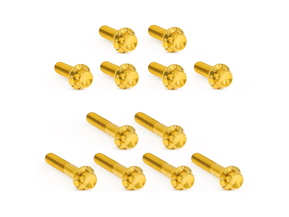 Arlen Ness Titanium 12-Point Rocker Cover Bolt Kit – Gold. Fits Twin Cam 1999-2017