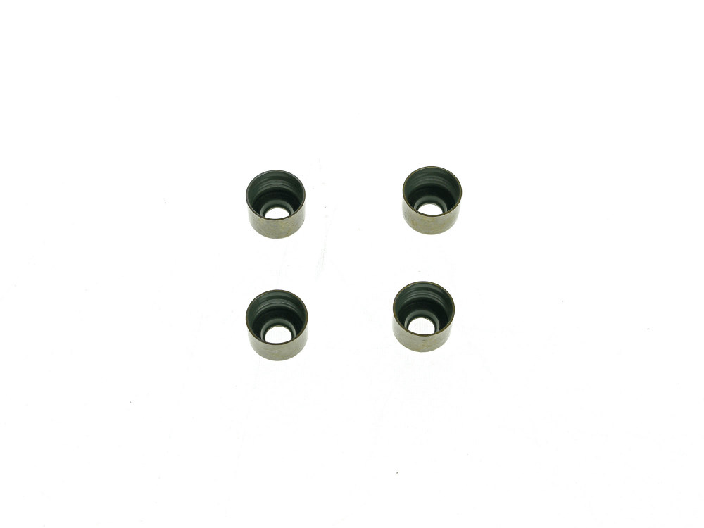 Seal; Valve Guide Evo & T/Cam%2784-04