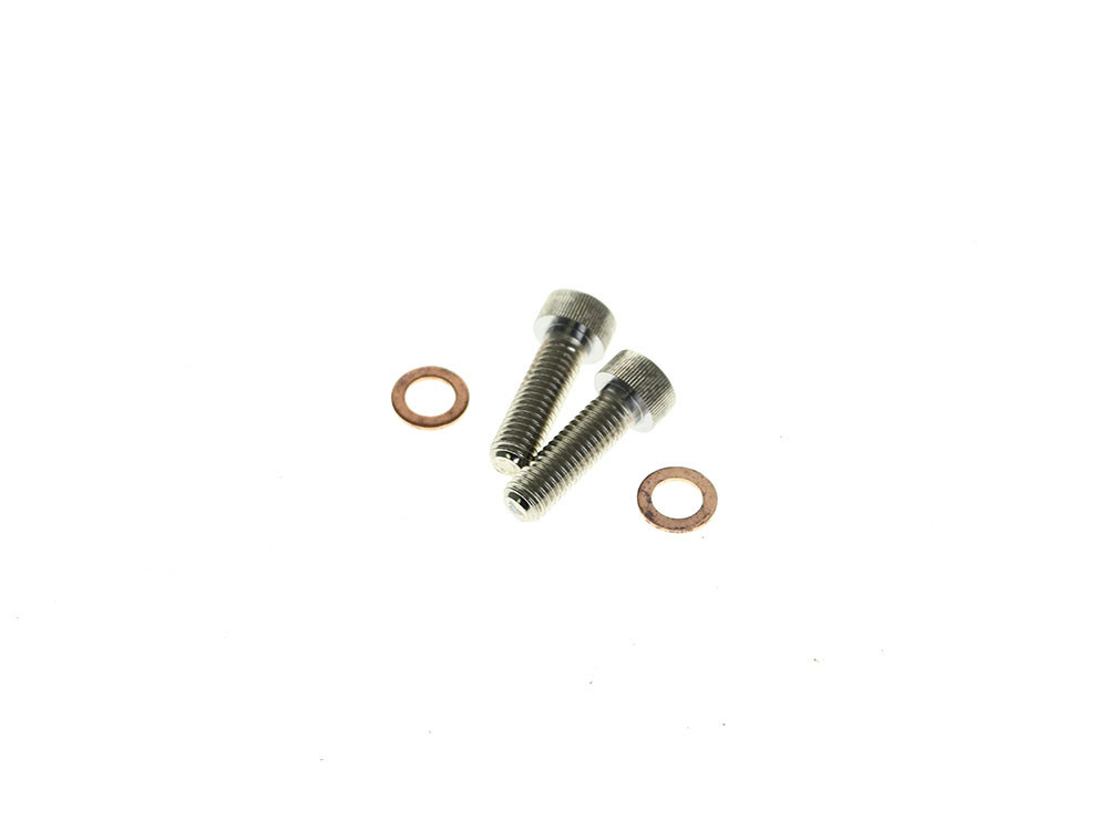 Damper Tube Screw & Washer (Pair)