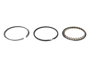 Cycle Pro Llc +0.020in. Oversize Piston Rings. Fits Evolution Big Twin 1984-1999 & 1200cc Sportster 1988-2003. Cycle Pro Llc +0.020in. Oversize Piston Rings. Fits Evolution Big Twin 1984-1999 & 1200cc Sportster 1988-2003.